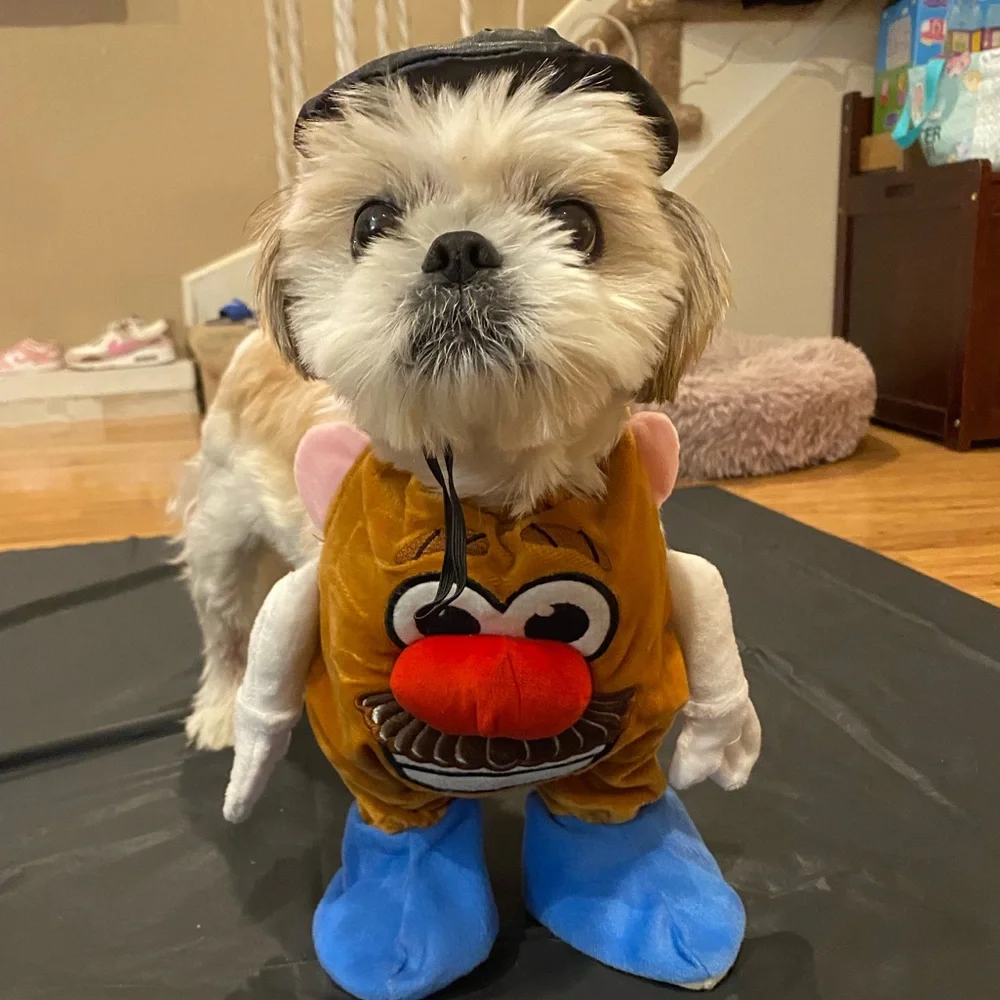 Mr. Potato Head Dog Costume in Size Medium - Picture 5 of 6